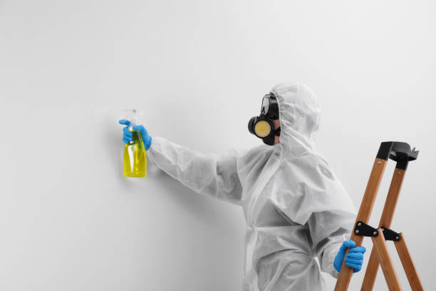 Best Biohazard Mold Removal in Madison, IN